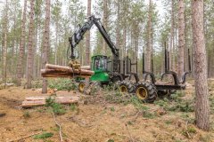 Forwarder-2