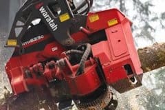 Waratah-Header-HTH623C