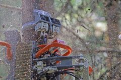 Advaligno-Cutting-Head_4