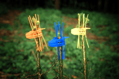 Alternative-Structures-Signumat-Tree-Protectors