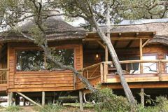 Extending-the-Benefits-of-Wood-for-Longer