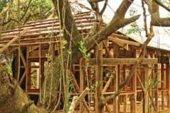 Tanalised®-C-Pressure-Treated-Wood