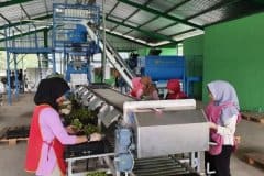 FiberCell-multi-row-production-line
