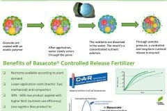 Basacote