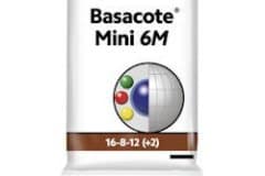 Compo-Expert-Basacote-Mini-6M