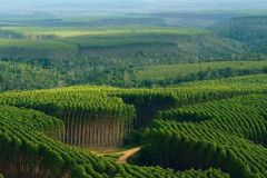Compo-Expert-Perfect-for-Forestry