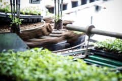 A-flexible-and-reliable-propagation-system