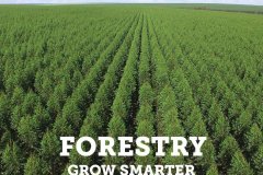 Ellepot-Forestry-Grow-Smarter