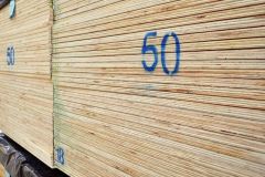 Foresta-Board-Products-Plywood