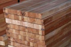 Foresta-Laminated-Timber-Lamited-Saligna