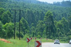 Creosote-transmission-poles-and-cross-arms