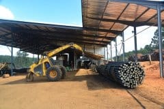 Creosote-treating-plant