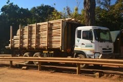 Incoming-untreated-building-and-fencing-poles
