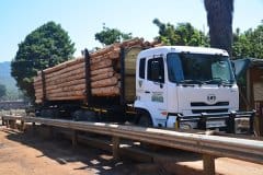 Incoming-untreated-transmission-poles