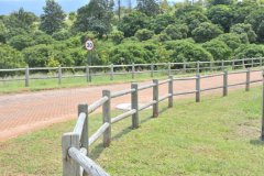 Ranch-Fencing-poles
