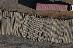 Tanalith-transmission-poles-for-exporting