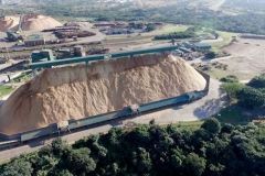 NCTs-Richards-Bay-Wood-Chipping-complex