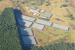 Northern-Natal-Seedlings-Nursery