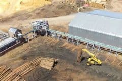 Pinnacle-Log-Yard-Log-Scanner-and-Sorter