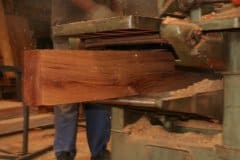 Plantation-Sawmilling_1