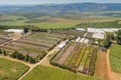 Sunshine-Seedling-Services-Panoramic-View