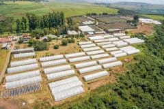 Sunshine-Seedling-Services-View-from-above