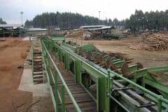 Timber-Log-Scanning-System