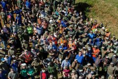 York-Timbers_5