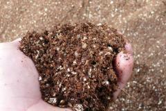 Growing-medium-consisting-of-Coir-fiber-Bark-and-Vermiculite