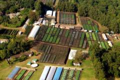 Tunnels-Shade-houses-and-Hardening-areas-for-maximum-growth