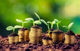 New Agriculture Development Agency Aims For R25bn In Investment