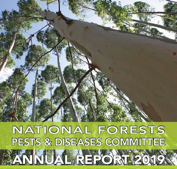 Forestry South Africa publishes inaugural National Forests