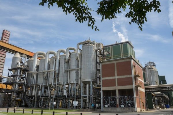 PAMSA extends application deadline for its bursary and research programme