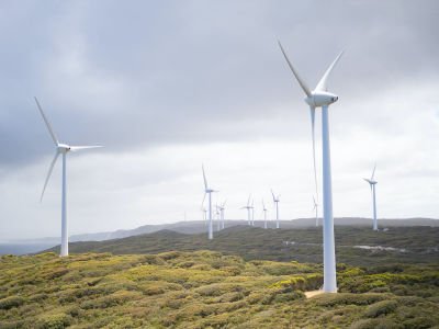Recovered balsa used to create environmentally-friendly materials