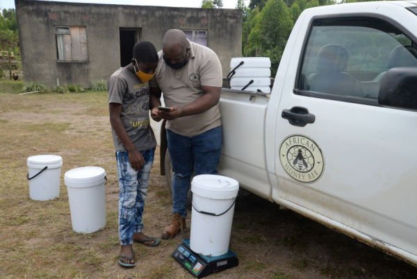 Beekeepers demonstrate resilience during COVID-19