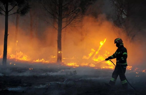Huge volume of timber lost due to Knysna fire