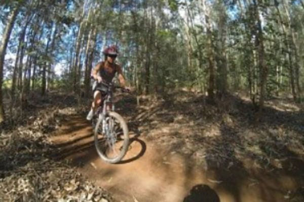 Family Fun Forestry