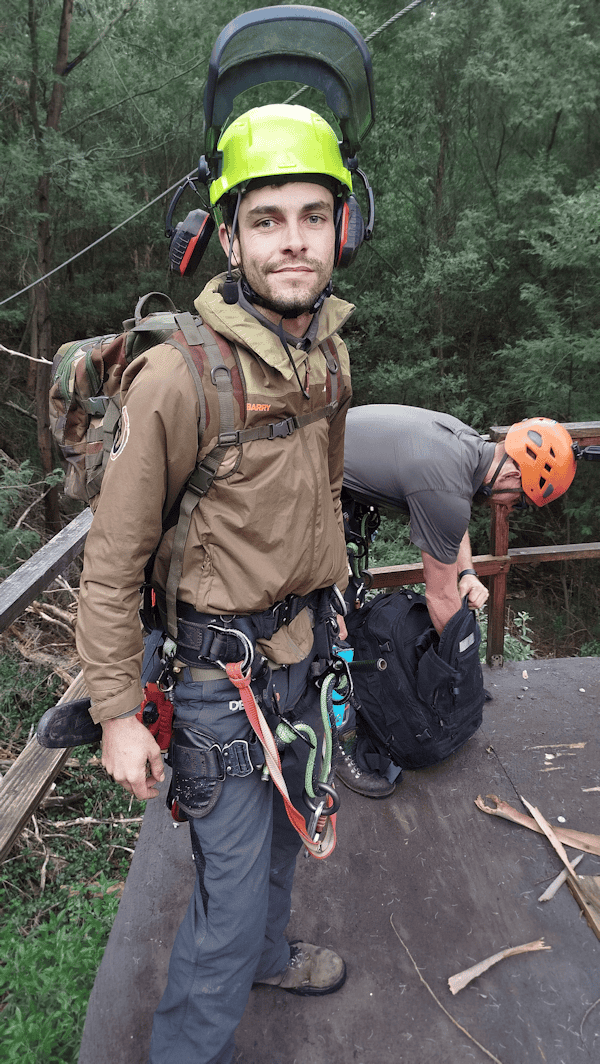 arboriculture